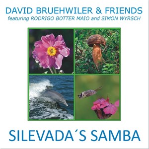 Silevada's Samba(feat. Rodrigo Botter Maio & Simon Wyrsch)