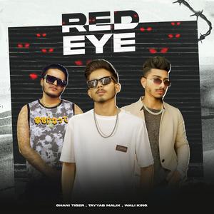 Red Eye (feat. Tayyab Malik, Wali King) (Explicit)