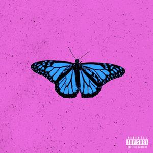 Morpho (Explicit)