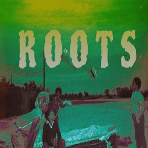 Roots (Explicit)