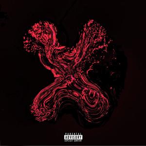 swid (feat. Ro Xo) (Explicit)