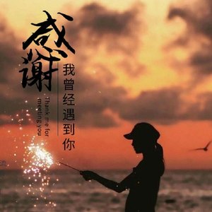 感谢我曾经遇到你