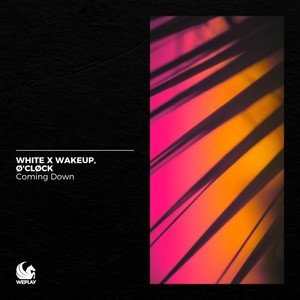 Coming Down (Extended Mix)