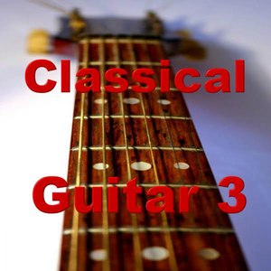 Guitar 3