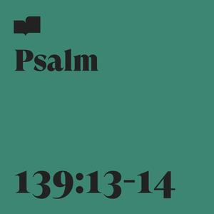 Psalm 139:13-14(feat. A Boy and His Kite)