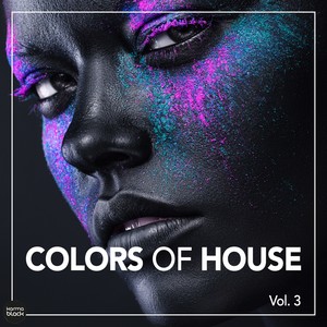 Colors Of House, Vol. 3