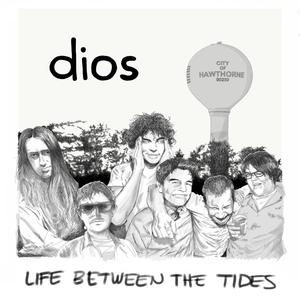 Life Between the Tides