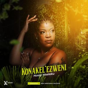 Konakel'ezweni (feat. Ndu Mngoma & Nu Cafe)