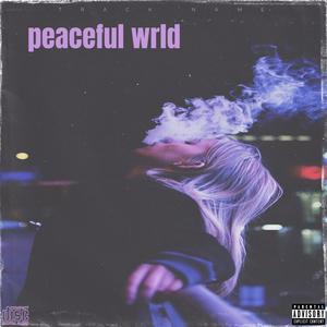 Peaceful WRLD (feat. YNG$niper & Tyegression) [Explicit]