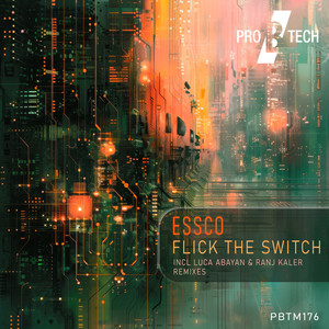 Flick the Switch (Luca Abayan Remix)