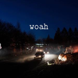 woah (feat. lil psychonaut & MC ACEY) [Explicit]