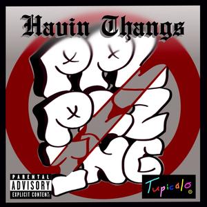 Havin Thangs (Explicit)