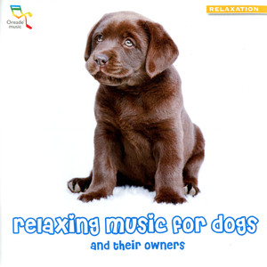 Relaxing Music for Dogs - and Their Owners