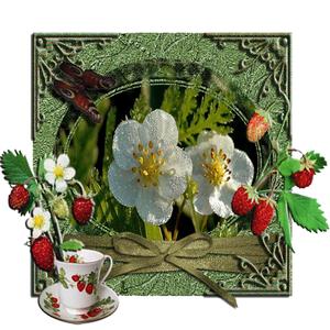 მწერი (feat. iso 3G) (Explicit)