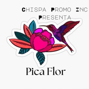 Pica Flor