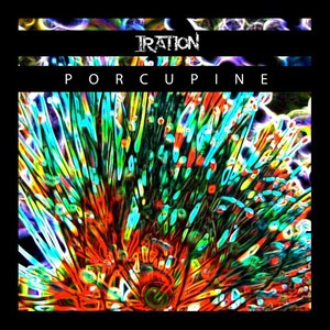 Porcupine - Single