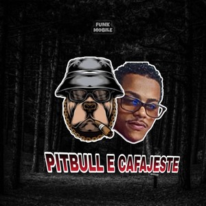 Pitbull e Cafajeste (Explicit)