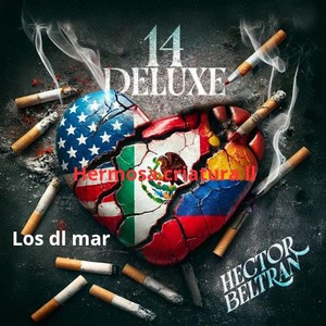 14 DELUXE: Te Fuiste (Explicit)