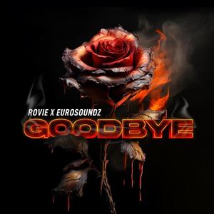 GOODBYE (feat. eurosoundz)