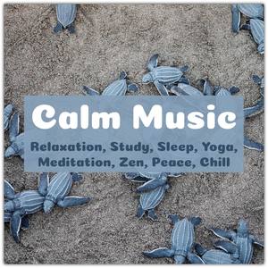 Calm Music: Relaxation, Study, Sleep, Yoga, Meditation, Zen, Peace, Chill