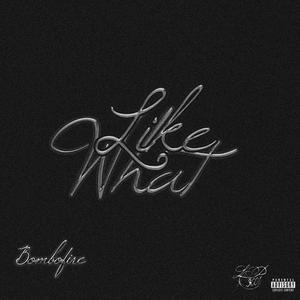 LIKE WHAT (feat. LP300! & Bombofire|Explicit)