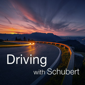 String Quartet No. 10 in E-Flat Major, D. 87 - Schubert: String Quartet No. 10 in E-Flat Major, D. 87 - 3. Adagio