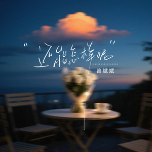 还能怎样呢 (和声伴奏)