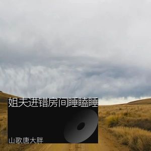 姐夫进错房间睡瞌睡 (伴奏)