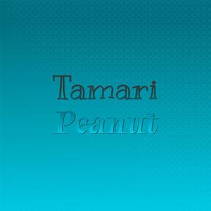 Tamari Peanut