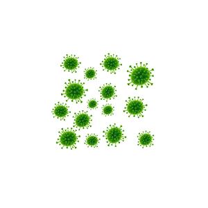 Virus Corona