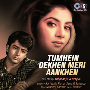 Tumhein Dekhen Meri Aankhen (Lofi Mix)