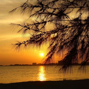 【FREE】 从你的世界路过