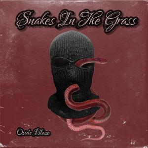 Snakes In The Grass (Explicit)