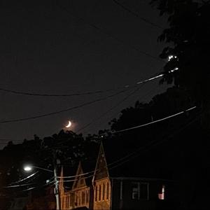 Heart Cold (FreeNukii) (Explicit)