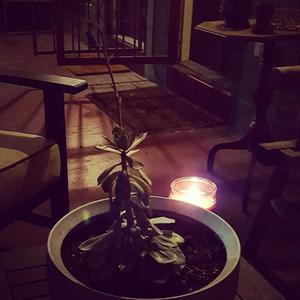 Save Tonight(Here We Go)