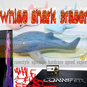 whale shark eraser