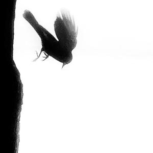 I Hope You Think About Me