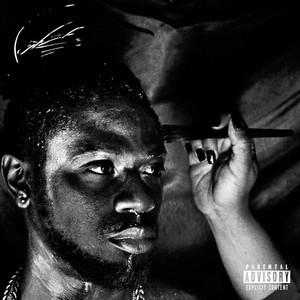 Swamp Life Anthem (feat. 337Mayhem) (Explicit)