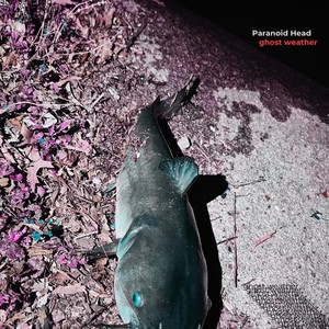 Paranoid Head