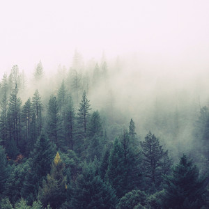 Leave Everything Behind (Reprise)