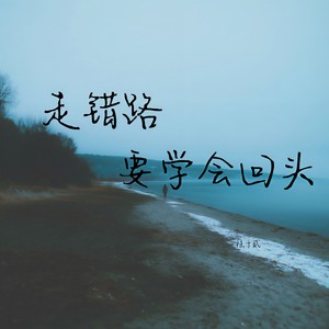 陆十贰 - 走错路要学会回头 (伴奏)