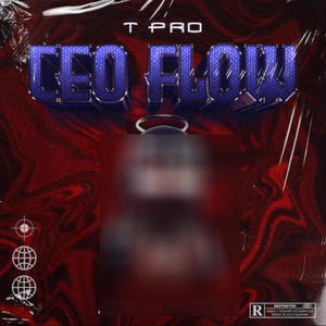 Ceo Flow (Explicit)