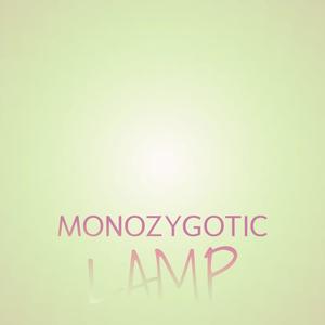 Monozygotic Lamp