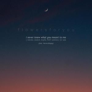 i never knew what you meant to me