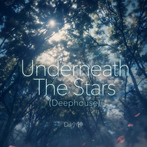 Underneath The Stars (Deephouse)