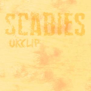 Scabies (Explicit)