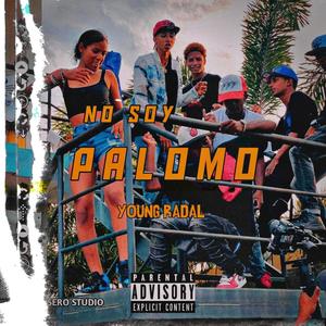 No Soy Palomo
