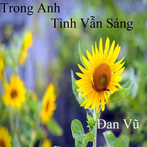 Trong Anh Tình Vẫn Sáng