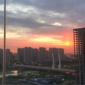 忘了这是第几年