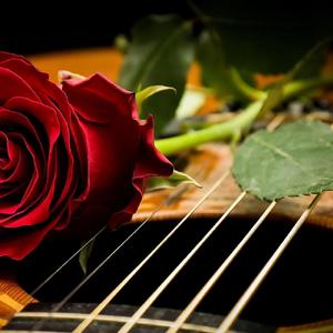 ACD4U (Acoustic)